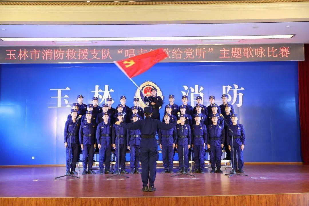 破碎的动物图形3